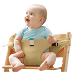Adjustable Portable High Chair